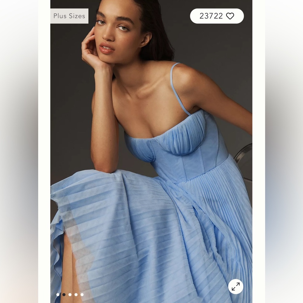 Anthropologie Hutch Amara Corset Pleated Tulle Fit & Flare Midi Dress